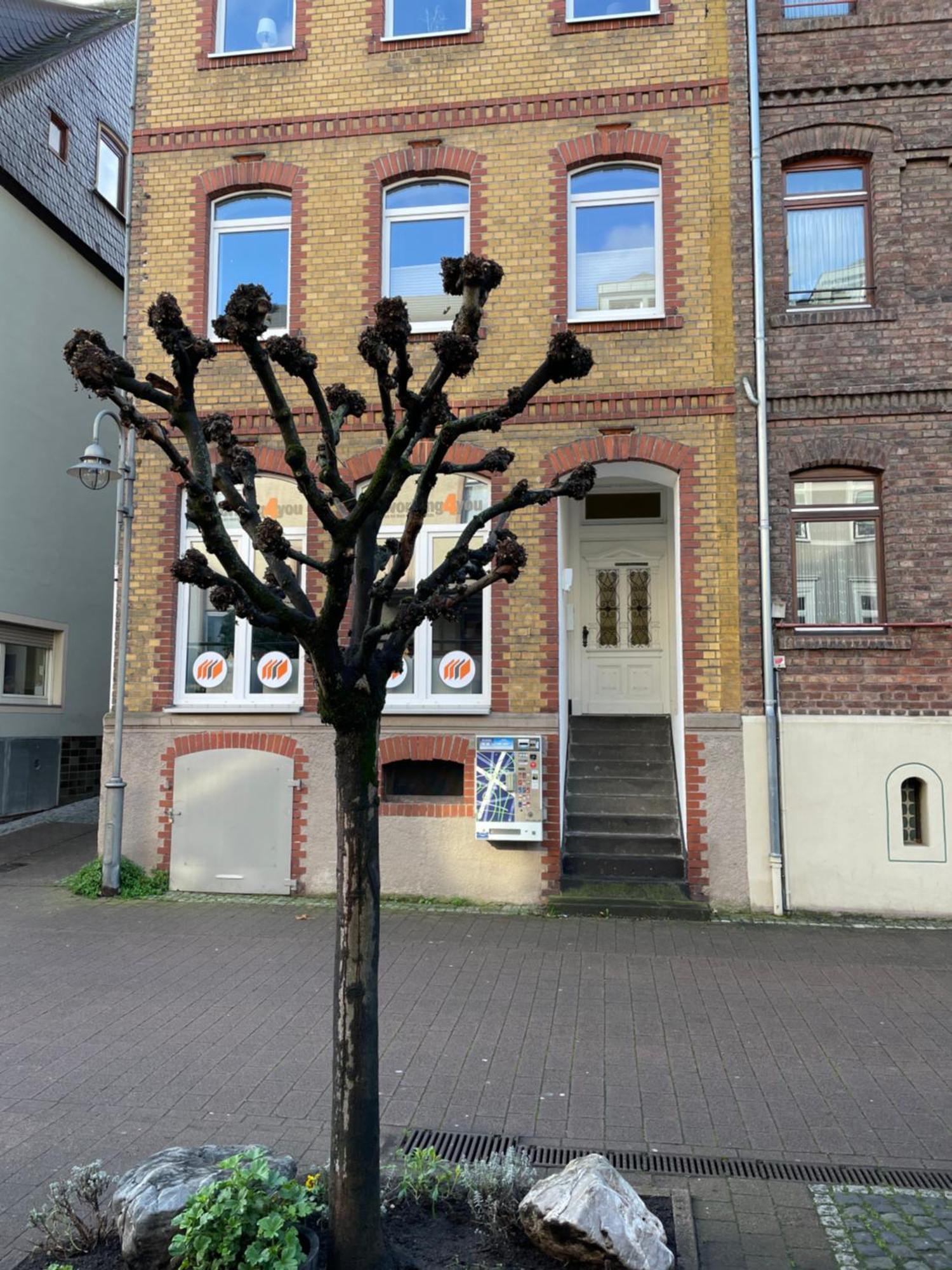 Good Times In St. Goar Apartment Sankt Goar ภายนอก รูปภาพ